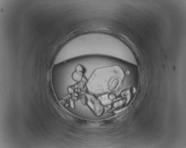 X0000081590405200701151031
