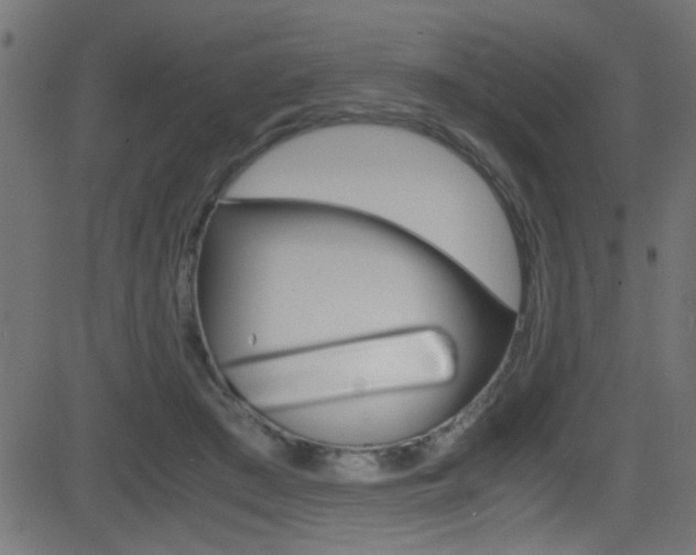 X0000081590409200701151031