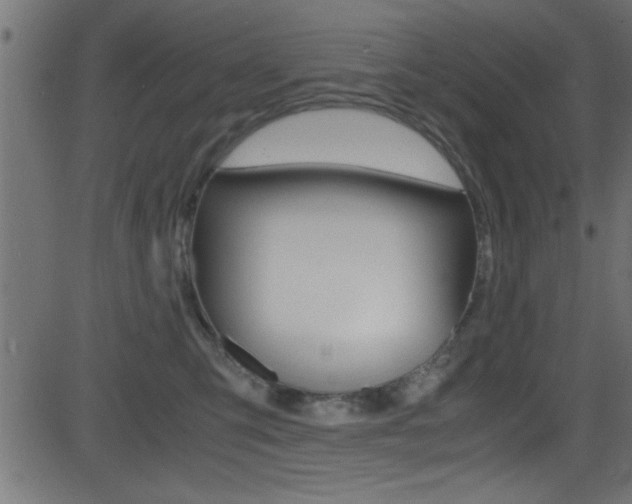 X0000081590423200701151031