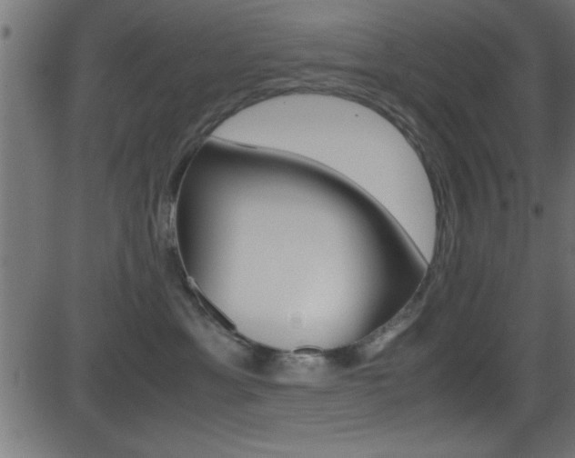 X0000081590429200701151031