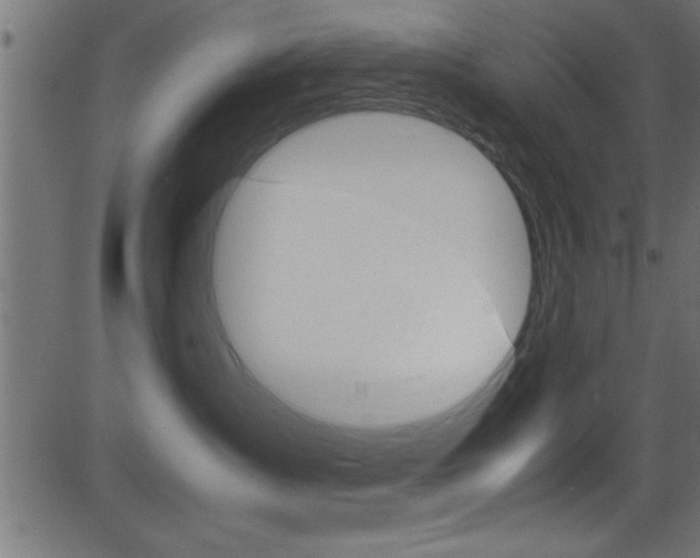 X0000081590431200701151031