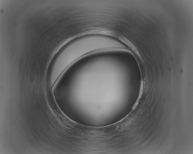 X0000081590436200701151030