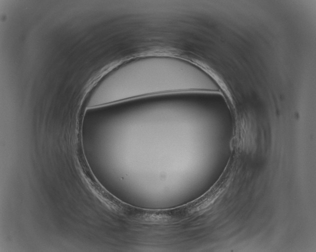 X0000081590437200701151030