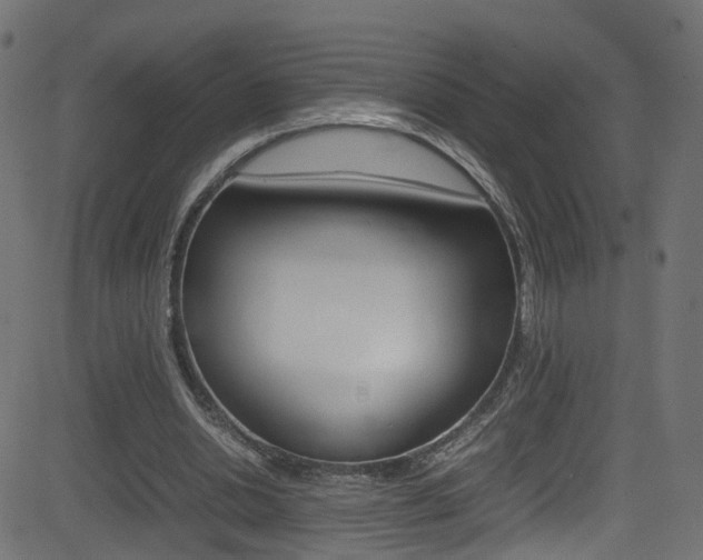 X0000081590438200701151030