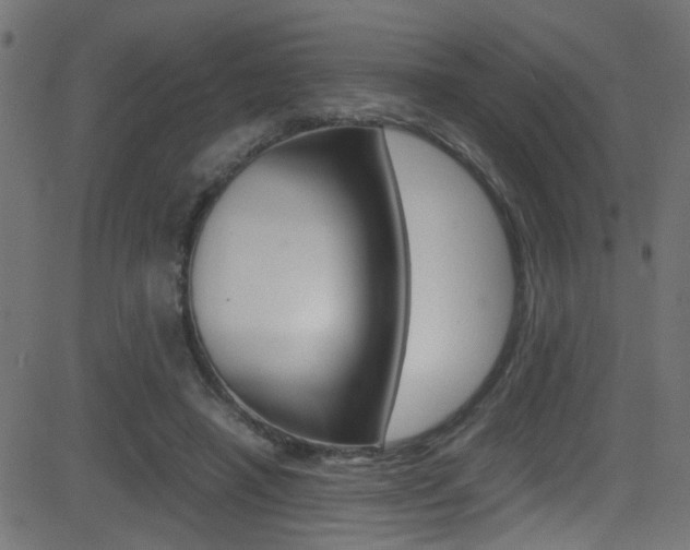 X0000081590450200701151030