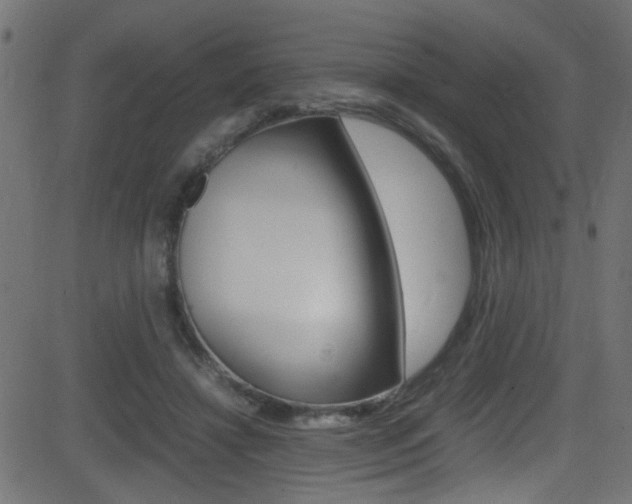 X0000081590452200701151030