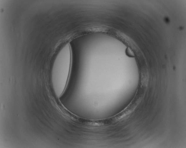 X0000081590453200701151030