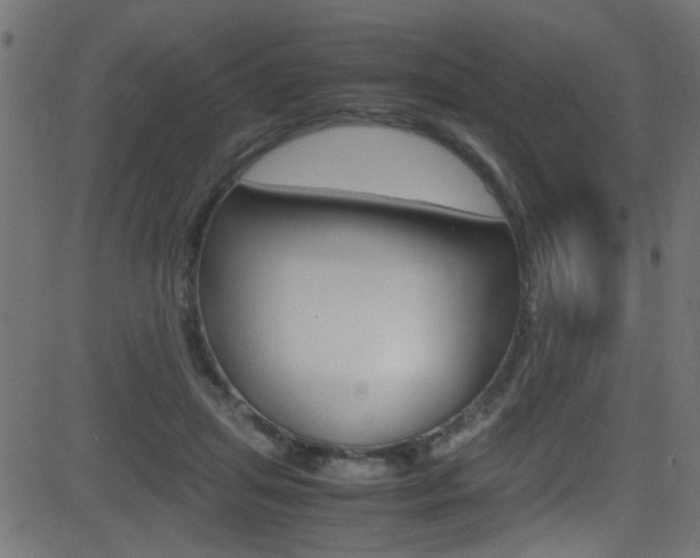 X0000081590455200701151030