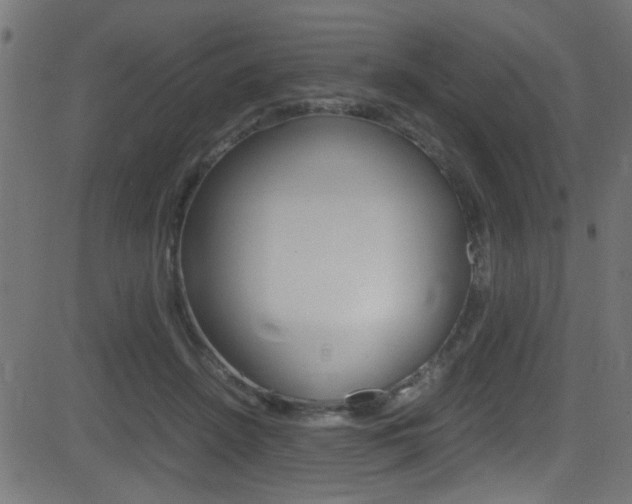 X0000081590456200701151030