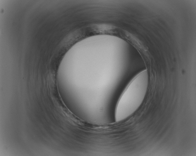 X0000081590461200701151030