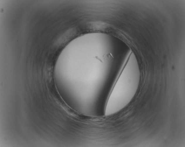 X0000081590462200701151030