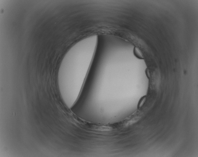 X0000081590463200701151030