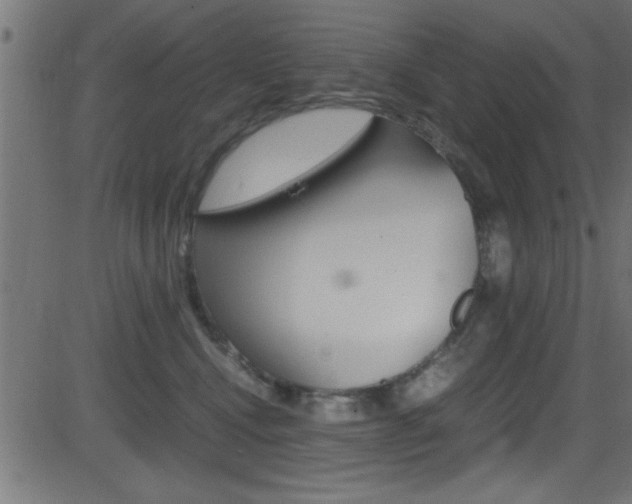 X0000081590472200701151030