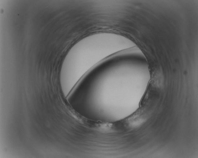 X0000081590474200701151030