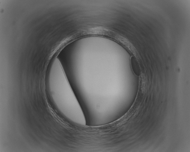 X0000081590482200701151030