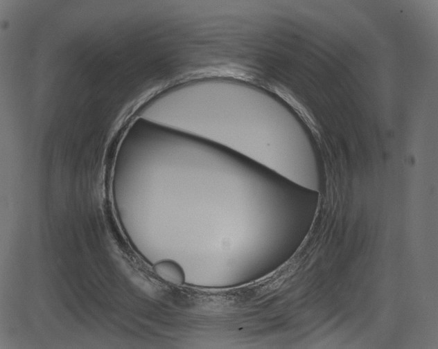 X0000081590486200701151030