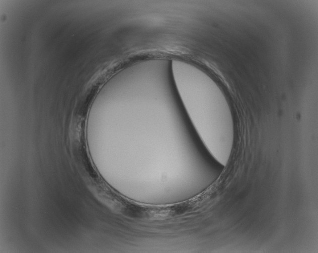 X0000081590495200701151030