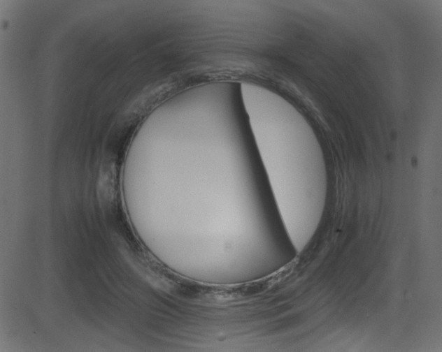 X0000081590498200701151029