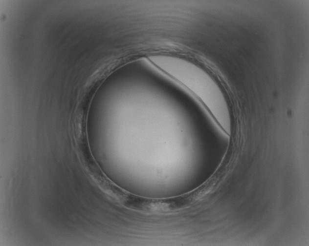 X0000081590501200701151029