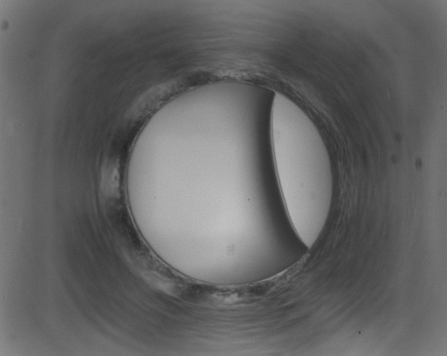 X0000081590502200701151029