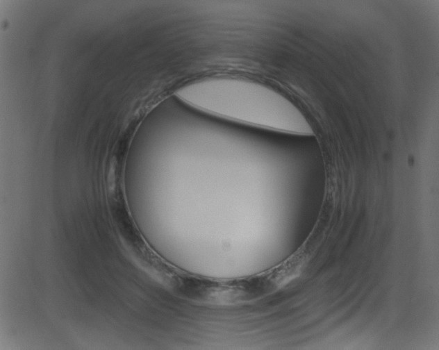 X0000081590504200701151029