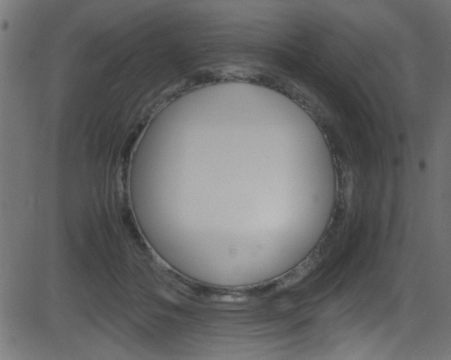 X0000081590506200701151029