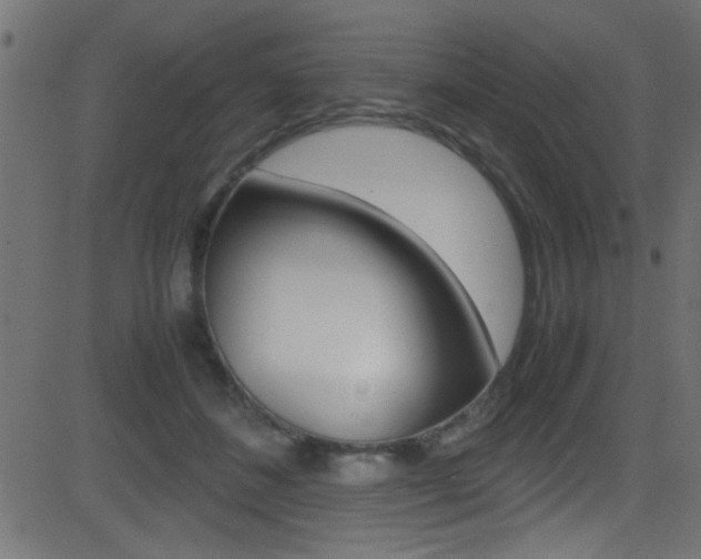 X0000081590508200701151029