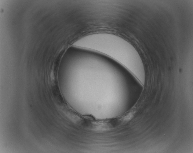 X0000081590516200701151029