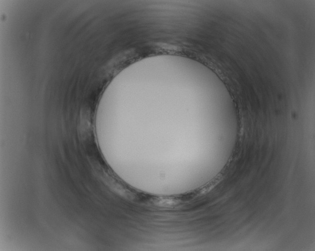 X0000081590518200701151029