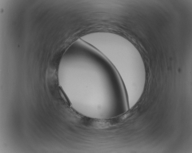 X0000081590521200701151029