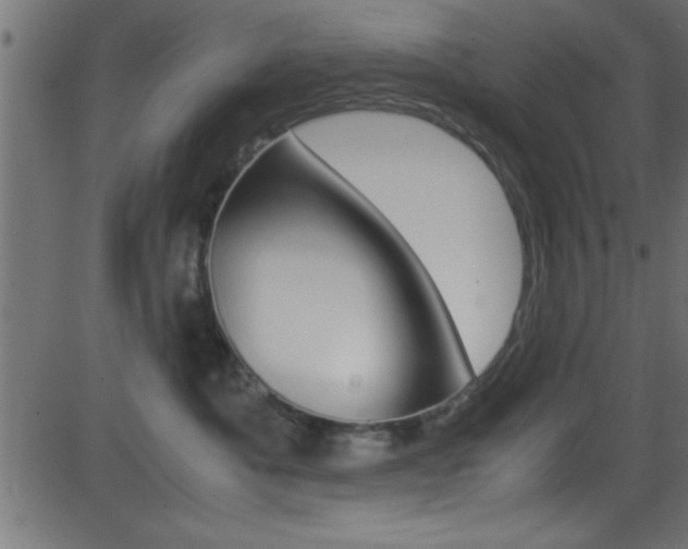 X0000081590525200701151029