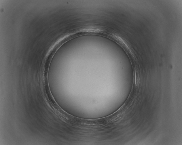 X0000081590531200701151028