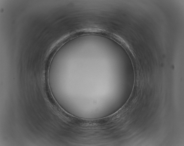 X0000081590535200701151028
