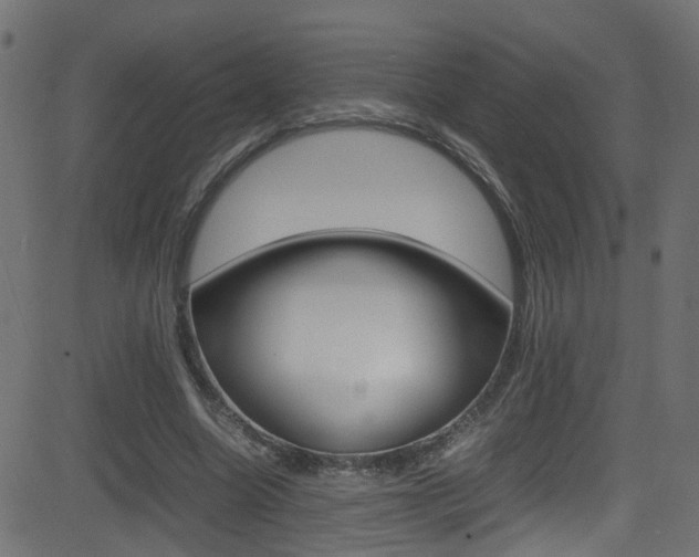X0000081590538200701151028