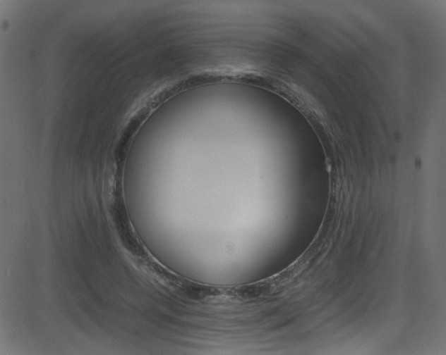 X0000081590544200701151028