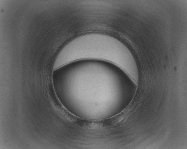 X0000081590546200701151028