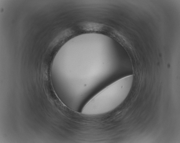 X0000081590547200701151028