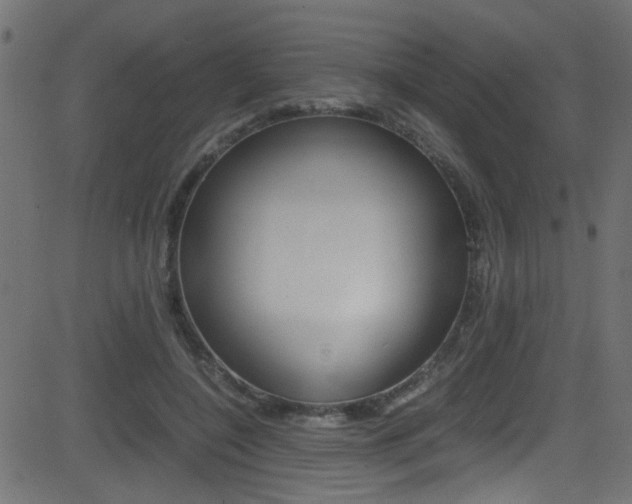 X0000081590548200701151028