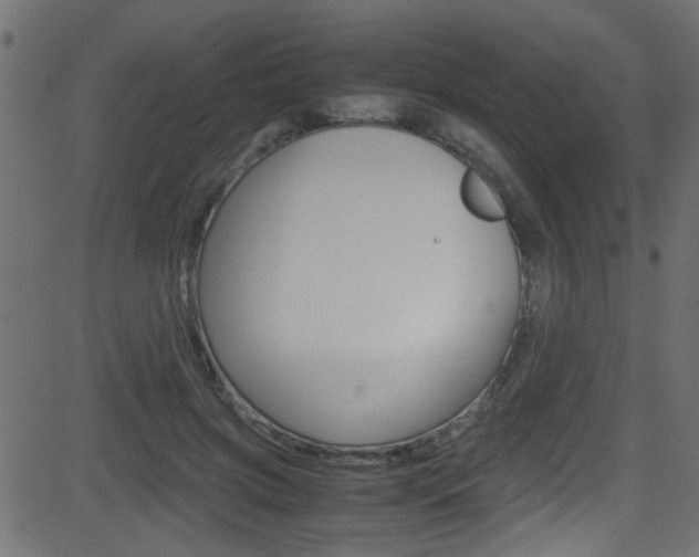 X0000081590549200701151029