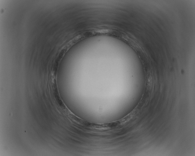 X0000081590555200701151029