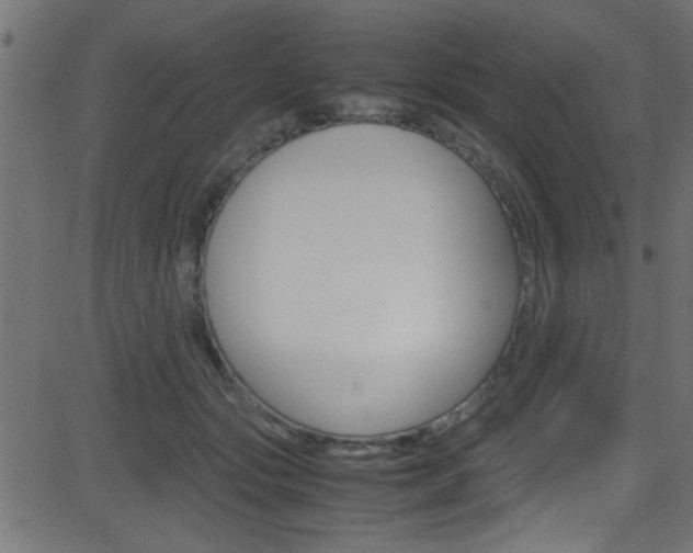 X0000081590557200701151029