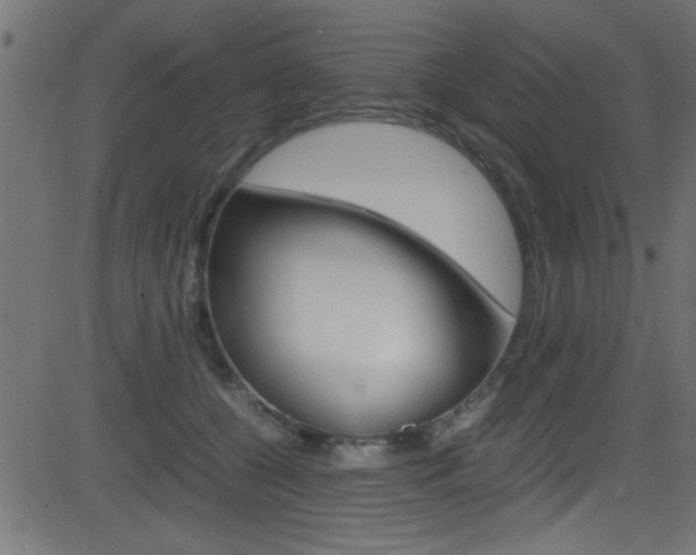 X0000081590560200701151029