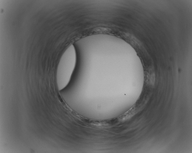 X0000081590561200701151029