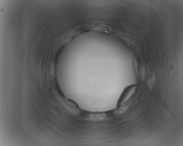 X0000081590571200701151029