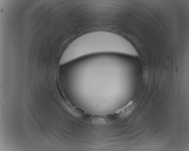 X0000081590572200701151029