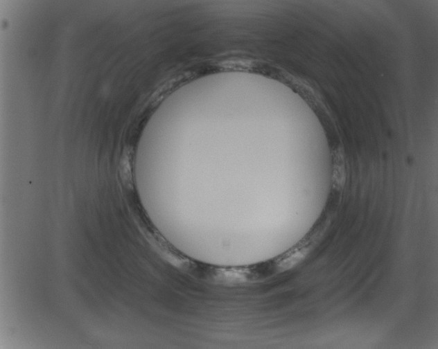 X0000081590573200701151029