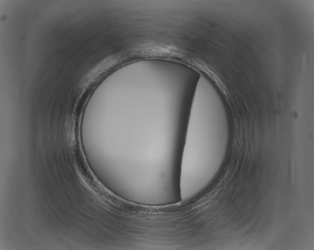X0000081590582200701151028
