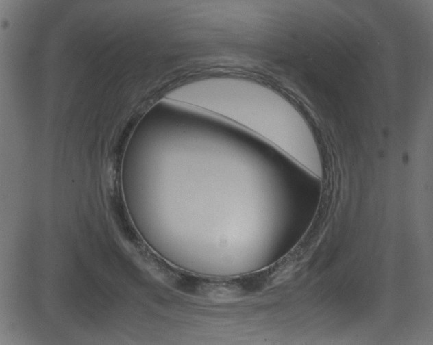 X0000081590597200701151028