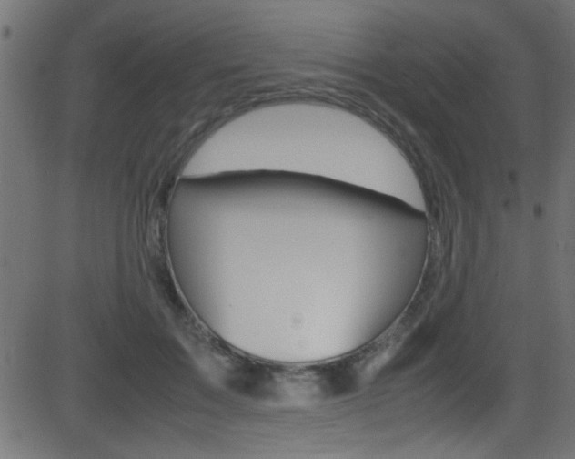 X0000081590603200701151028