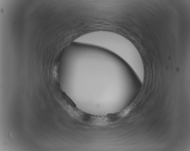 X0000081590621200701151027
